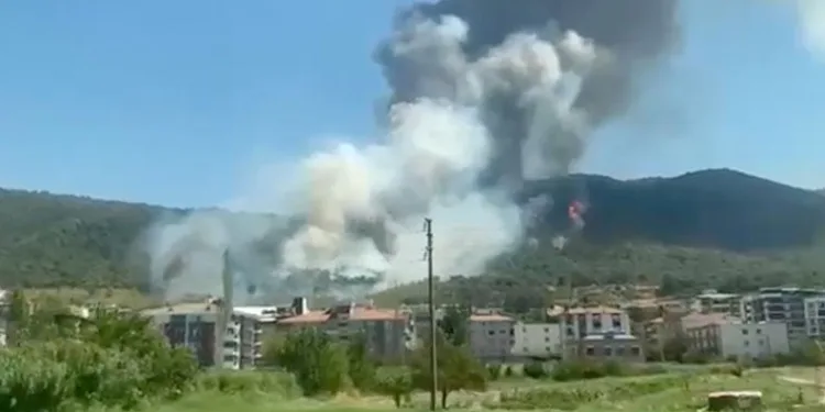 Manisa’da orman yangını: Bir mahalle boşaltıldı, bir kişi gözaltında