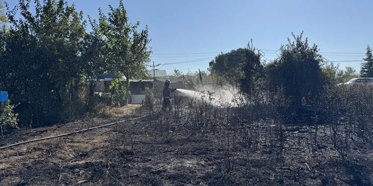 Sakarya’da çıkan orman yangını söndürüldü