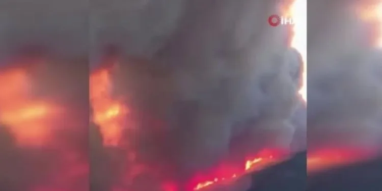 Yunanistan’da orman yangını