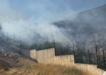 Bursa Orhangazi’de korkutan orman yangını