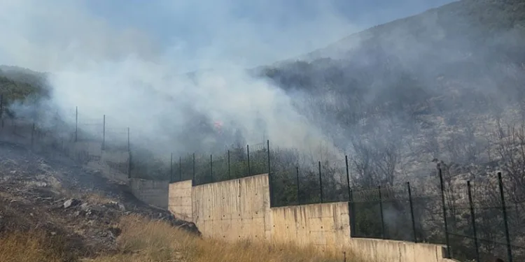 Bursa Orhangazi’de korkutan orman yangını