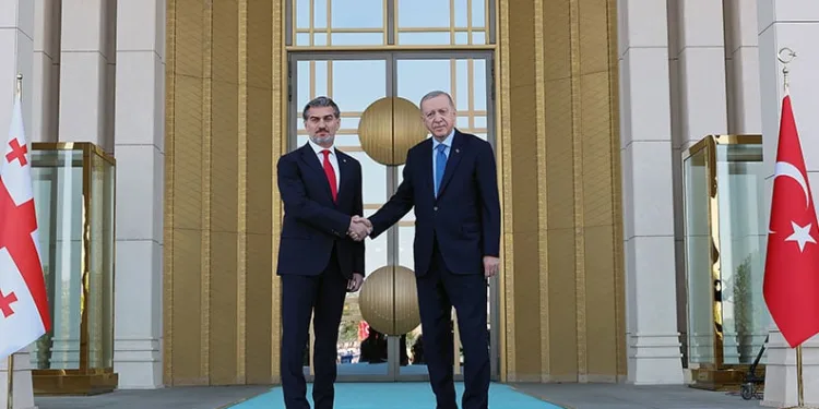 Erdoğan, Gürcistan Cumhurbaşkanı Kavelashvili’yi törenle karşıladı