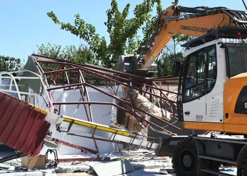 Bin hektar ormanlık alanla 600 milyon lira da kül oluyor