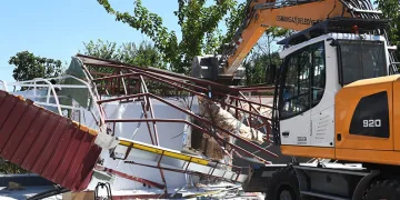 Bin hektar ormanlık alanla 600 milyon lira da kül oluyor
