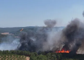 Çanakkale’deki orman yangını kontrol altında
