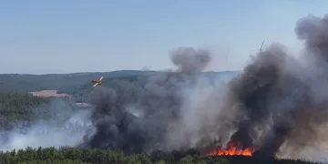 Çanakkale’deki orman yangını kontrol altında