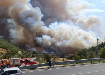 Mersin’de orman yangını: Evler tedbiren boşaltılıyor