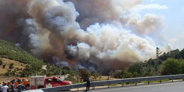 Mersin’de orman yangını: Evler tedbiren boşaltılıyor