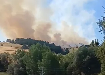 Çankırı’da orman yangını