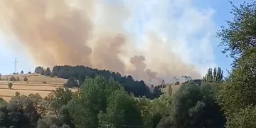 Çankırı’da orman yangını