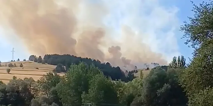 Çankırı’da orman yangını