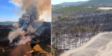 Bolu’daki orman yangınıyla ilgili 1 kişi tutuklandı