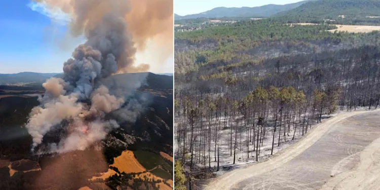 Bolu’daki orman yangınıyla ilgili 1 kişi tutuklandı