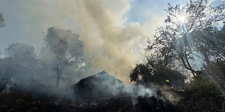 Bergama’da orman yangını: Alevler evlere sıçradı