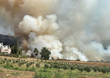 Osmaniye’de ormanlık alanda yangın çıktı