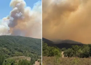 İznik’te orman yangını: Yerleşim yerleri tehdit altında