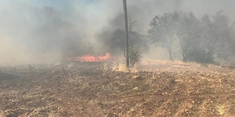 Diyarbakır’da 2 kırsal mahallede orman orman yangını
