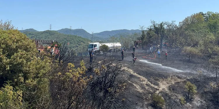 Zonguldak’taki orman yangını kontrol altına alındı