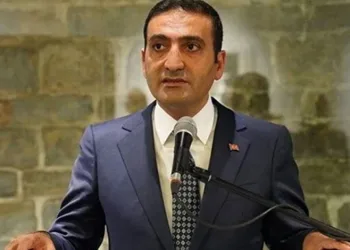 Diyarbakır’ın 2 ilçesinde çıkan yangın söndürüldü