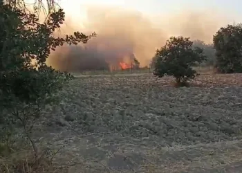 Bursa’da korkutan yangın