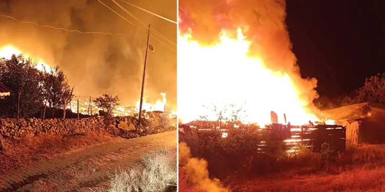 Köyde çıkan yangında 6 ev küle döndü