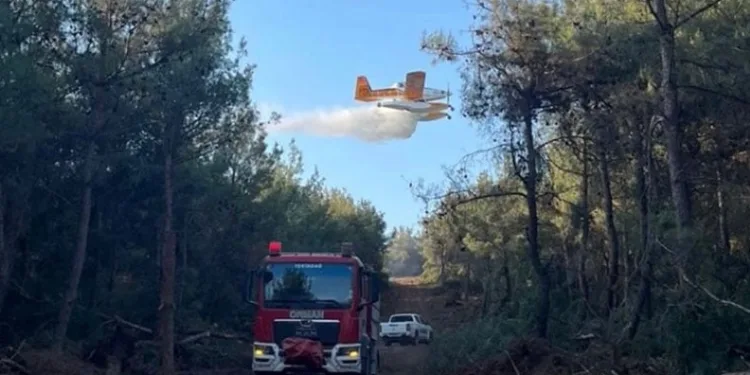 Yangınların yüzde 57’si orman dışı alanlarda başladı