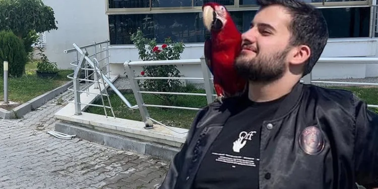 ‘Jrokez’ lakaplı yayıncı Oğuzhan Dalgakıran hayatını kaybetti