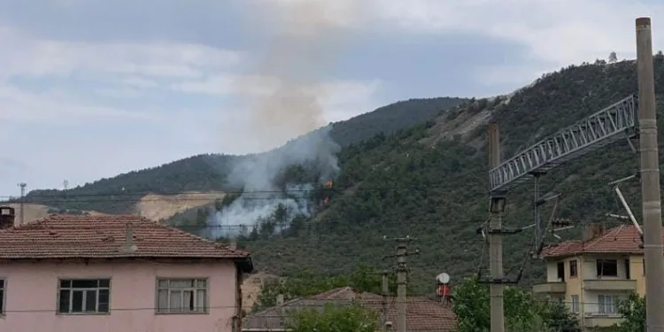 Bilecik’te orman yangını
