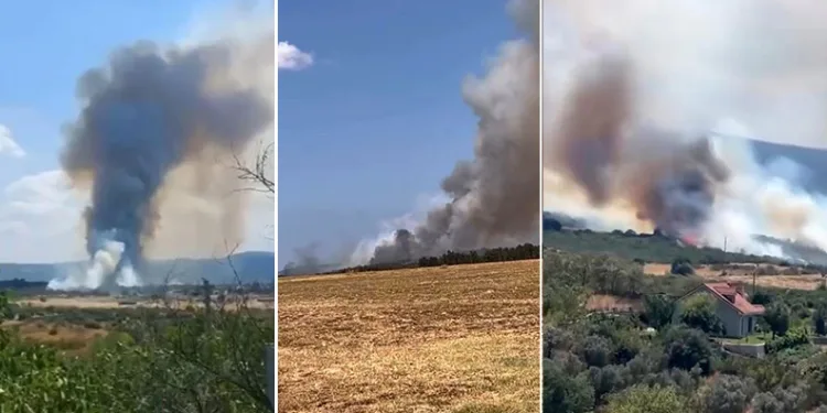 Bursa Nilüfer’de orman yangını