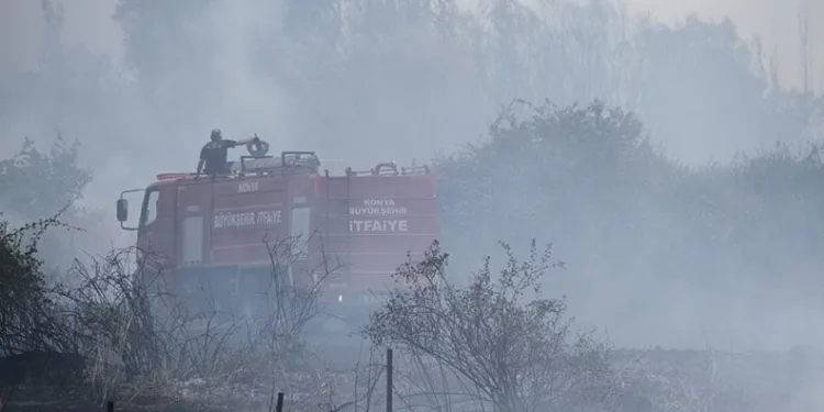 Beyşehir’de kampüs yakınlarındaki yangın korkuttu