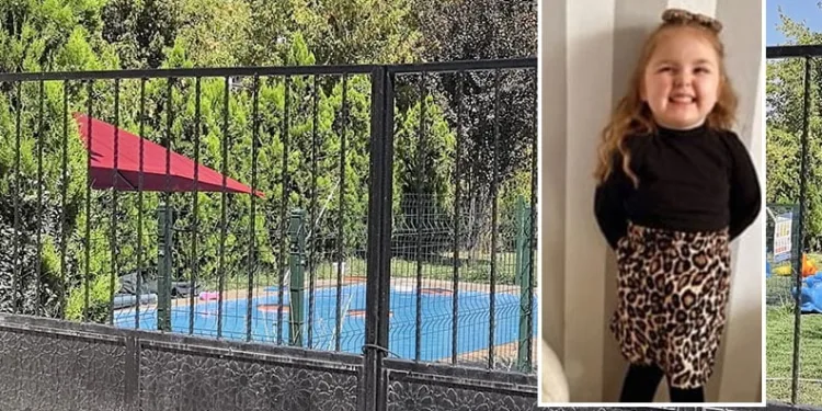 Minik Berra kurtarılamadı