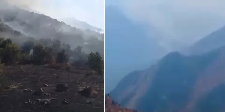 Yüksekova Dağlıca köyünde orman yangını