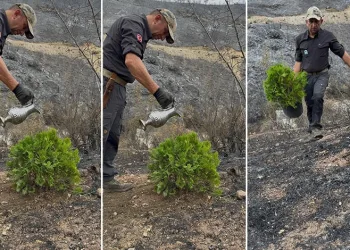 Kül olan topraklara umut ekti