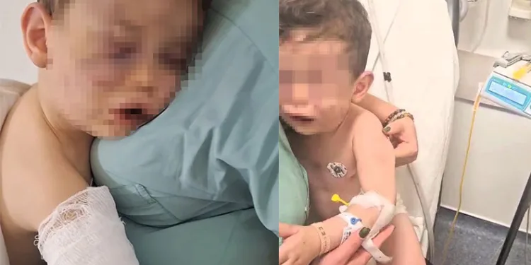 Yüksekova’da anız yangını: “4 bin bağ ot kül oldu”