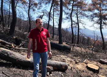 Kentsel Dönüşümde Belediye ve İMSİAD İşbirliği