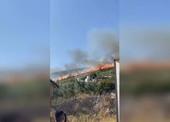 Orhangazi Gedelek’te orman yangınına müdahale ediliyor