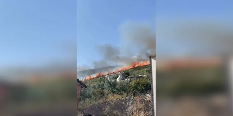 Orhangazi Gedelek’te orman yangınına müdahale ediliyor