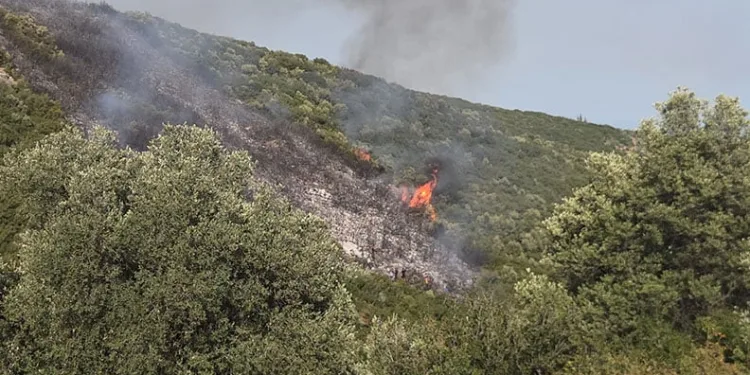 Bursa’daki orman yangını kontrol altına alındı