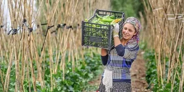 Genç Çiftçilere Tarım Destek Paketi