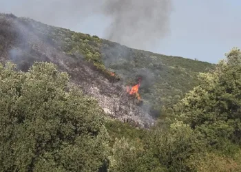 Gedelek yangını ile ilgili 1 kişi gözaltına alındı