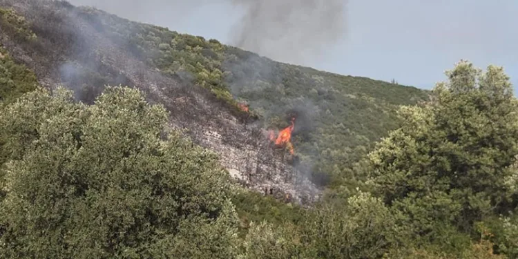 Gedelek yangını ile ilgili 1 kişi gözaltına alındı