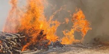 Malatya’nın Doğanyol ilçesinde orman yangını