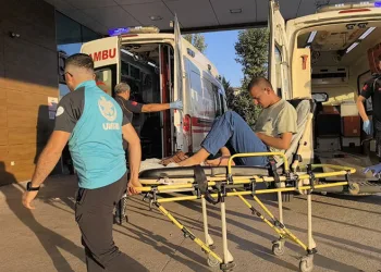 Bursa’daki orman yangını kontrol altına alındı