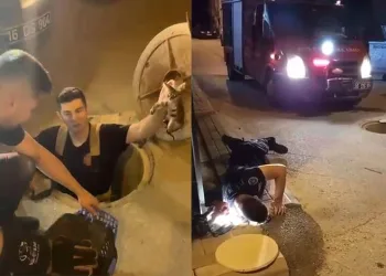 Bursa’da kamyon şarampole yuvarlandı, sürücü araçtan fırladı