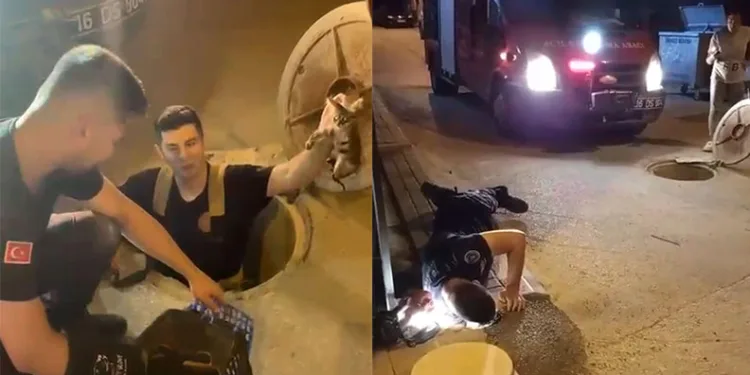 Bursa’da kamyon şarampole yuvarlandı, sürücü araçtan fırladı