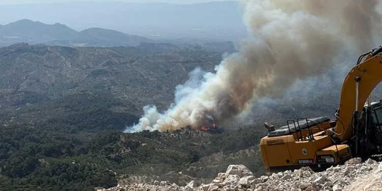 Germencik’te orman yangını