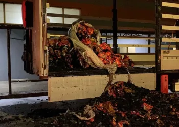 Bursa’da mangal kömürü yüklü tır alev alev yandı