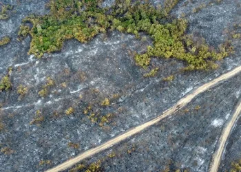 Çanakkale’de yeşil, griye döndü
