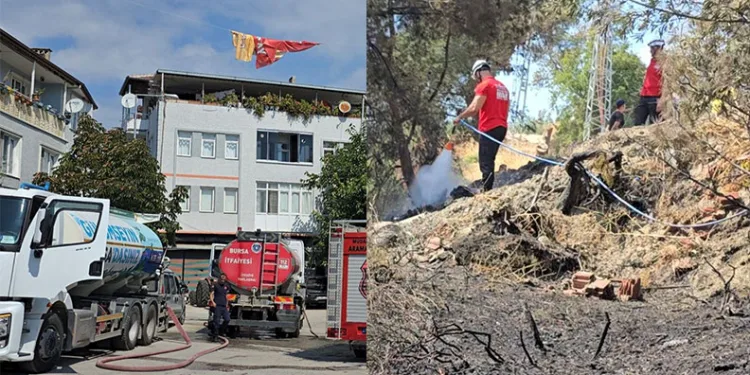 Mudanya’da korkutan yangın