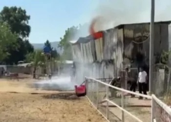 Bursa’da hayvan damı yandı: 1 at, 2 keçi telef oldu